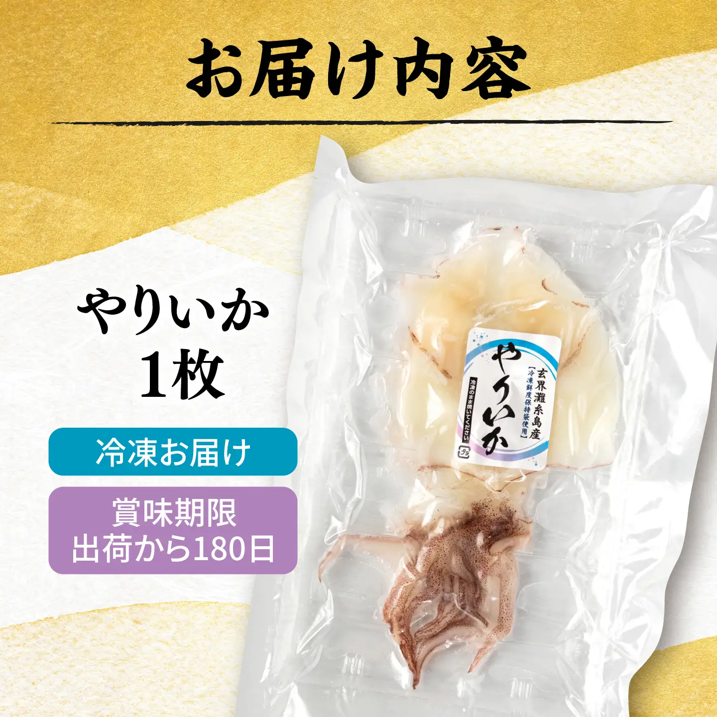 糸島玄界灘産 やりいか 1枚  糸島市 / 有限会社 糸島海産 / イカ / 肴[AMR010]
