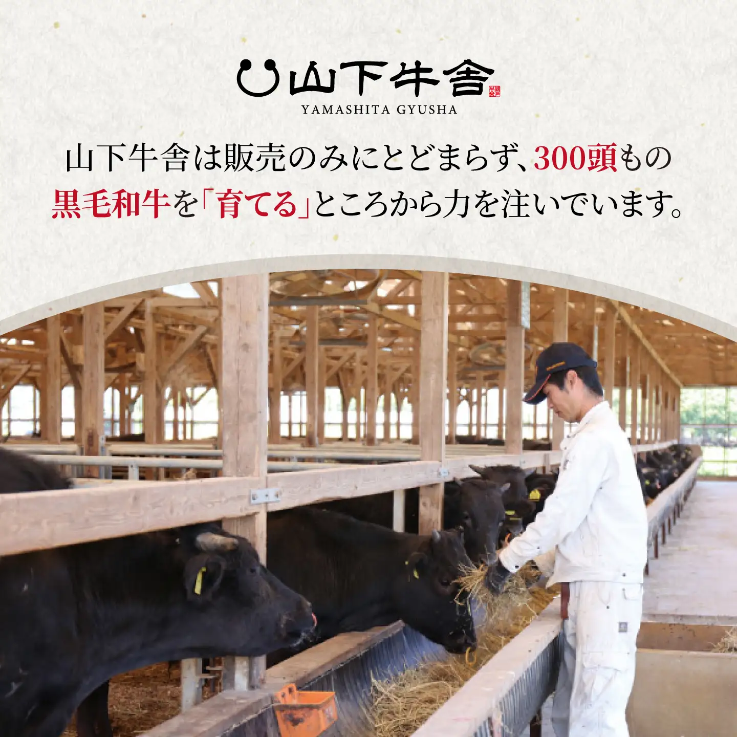 【全3回定期便】佐賀県産黒毛和牛 もつ鍋セット 4～5人前【山下牛舎】[HAD184]