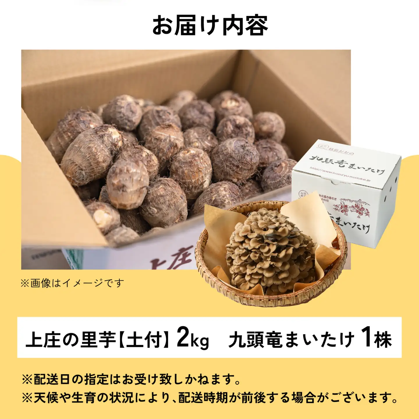 【先行予約】上庄の里芋 2kgと九頭竜まいたけ1株の【詰合せ】11月配送 里芋 まいたけ