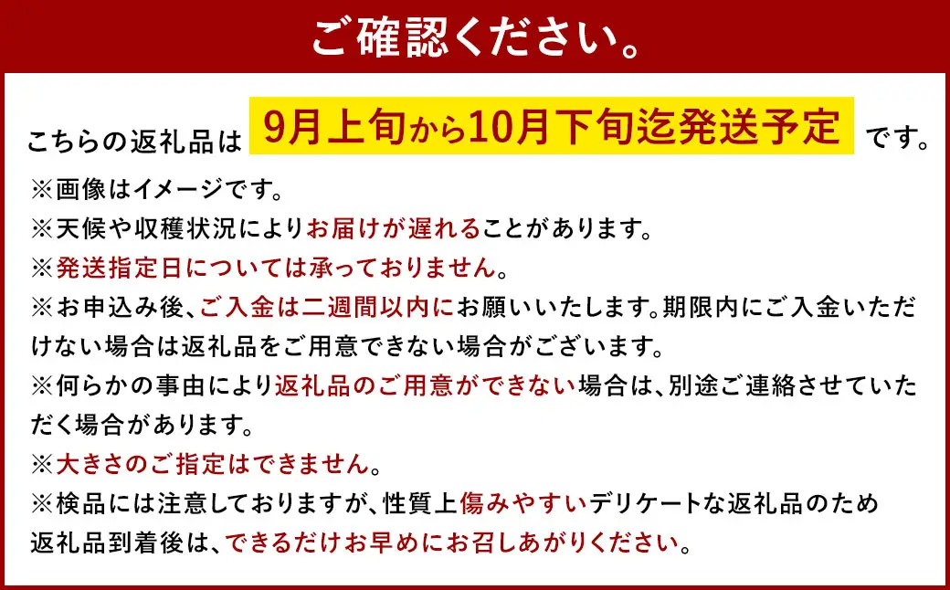 シャインマスカット 晴王 特選 大房 1房 約700g 化粧箱入 マスカット ぶどう ブドウ 葡萄 果物 くだもの フルーツ 果実 果汁 果肉 旬 種なし 皮ごと 大粒 冷蔵 贈答用 贈り物 プレゼント ギフト 国産 岡山県産 【 2026年9月上旬から10月下旬迄発送 】