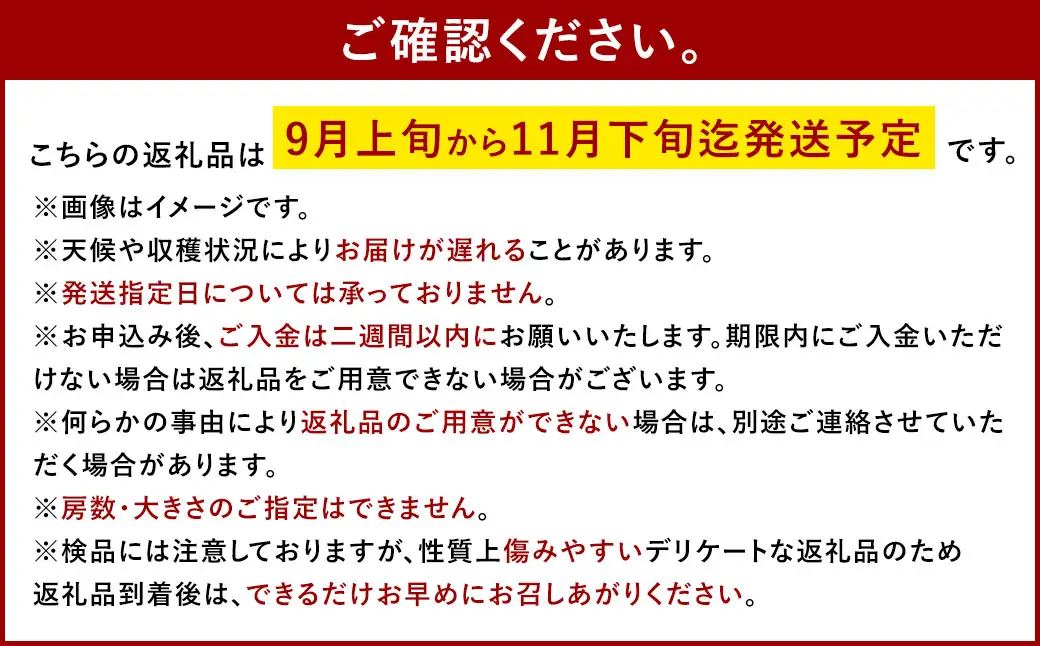 シャインマスカット 晴王 秀品 大房 5 ～ 9房 約5kg マスカット ぶどう ブドウ 葡萄 果物 くだもの フルーツ 果実 果汁 果肉 旬 種なし 皮ごと 大粒 冷蔵 国産 岡山県産 【 2026年9月上旬から11月下旬迄発送 】