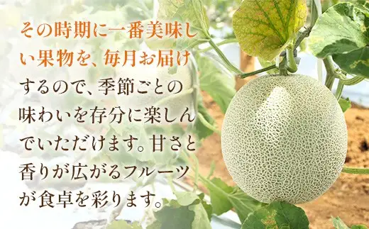 ＜ R8年熊本地震復興支援 ＞【 10ヶ月定期便 】 プロが選ぶ！ 旬の果物定期便 くだもの 果物 フルーツ 果実 果汁 果肉 国産 熊本県産 定期配送 定期 旬の果物 旬 甘味 季節 【 2027年1月上旬～10月下旬発送予定 】