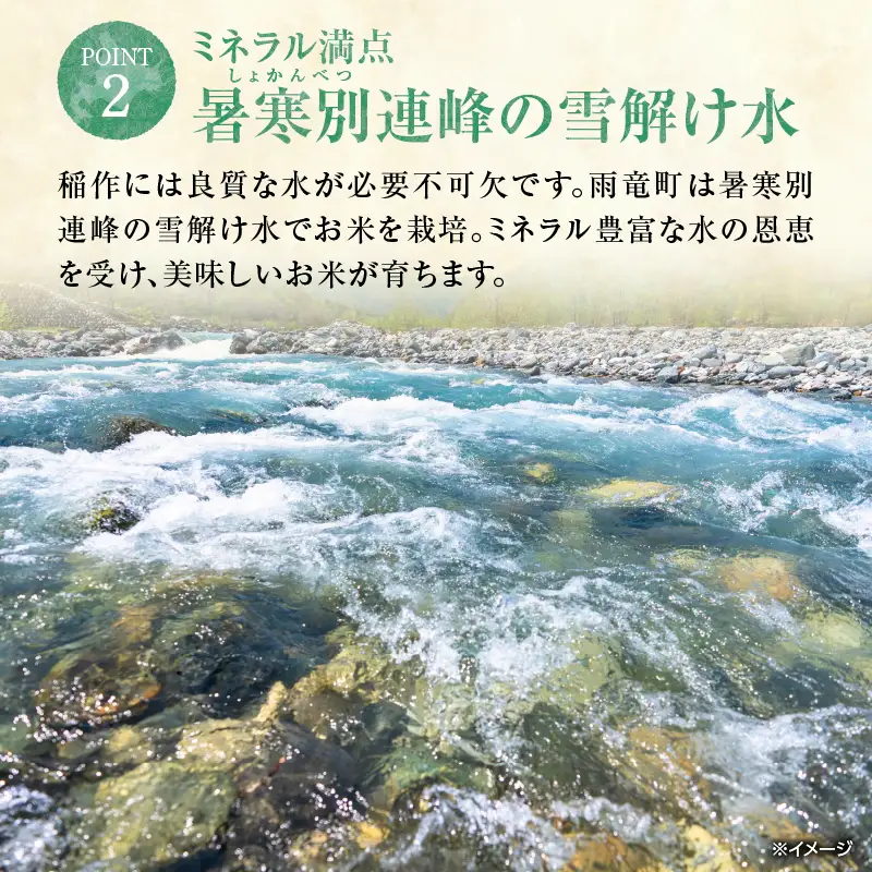 【新米予約】 令和8年産 【12回定期便】 うりゅう米 5kg ゆめぴりか