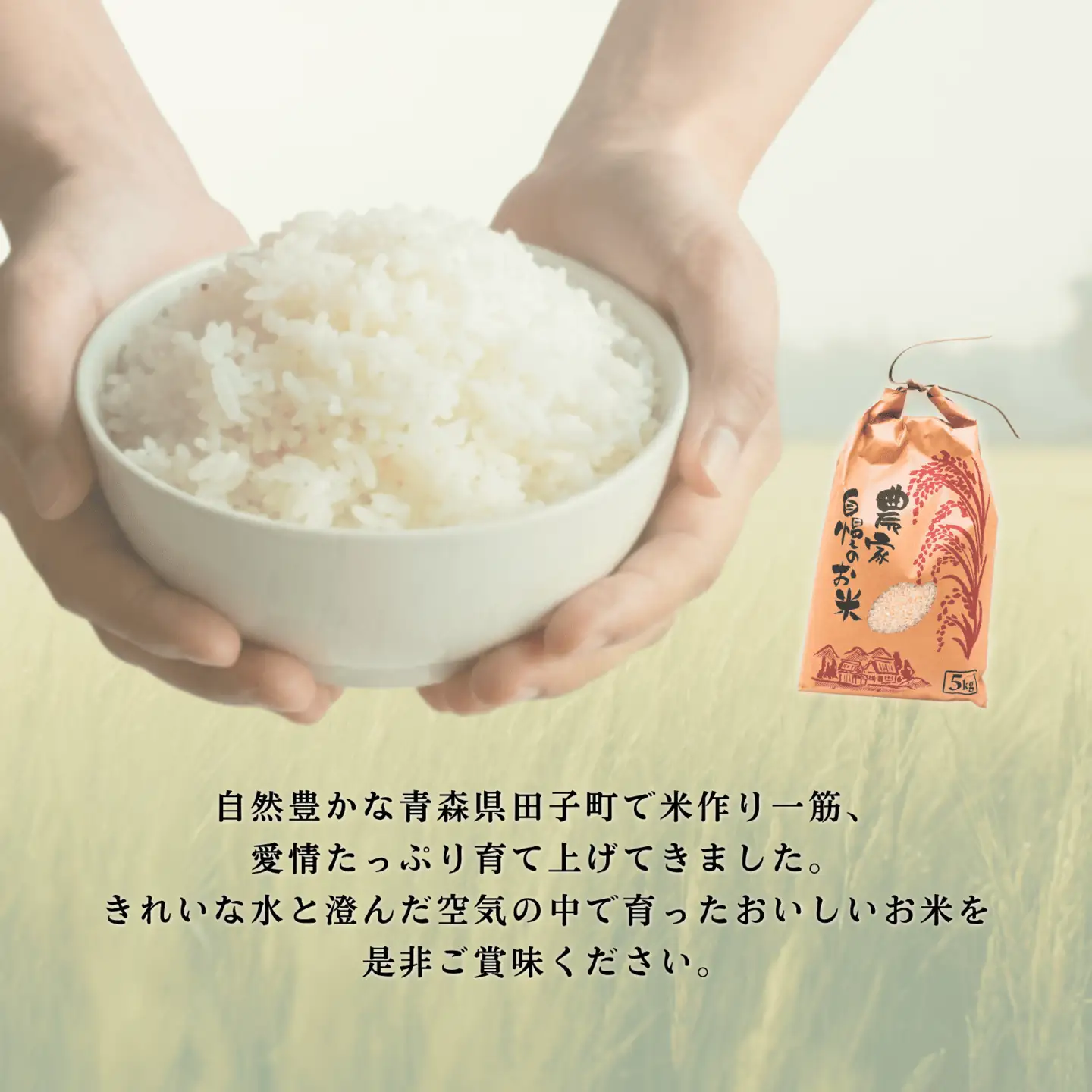 青森県田子町産　はれわたり白米10kg(5kg×2袋)