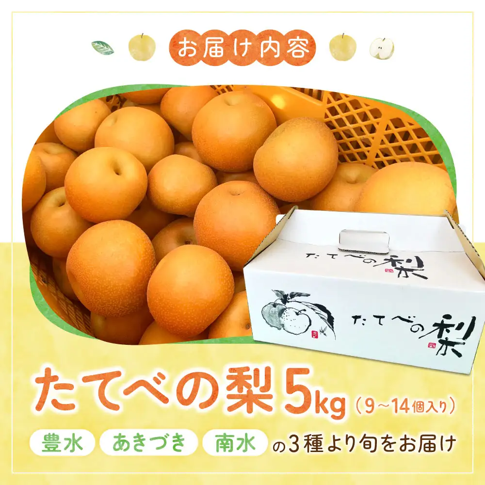 【期間限定】《2026年8月31日まで》たてべ梨 たてべ大凧果樹生産組合 滋賀県 東近江市 A-D28 梨 フルーツ 果物 和梨 完熟 豊水 南水 あきづき 5kg 旬