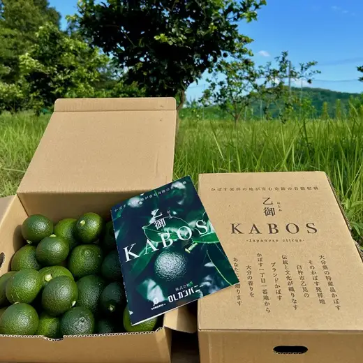 かぼす発祥の地臼杵市乙見・ブランドかぼす【乙御KABOS】４㎏
