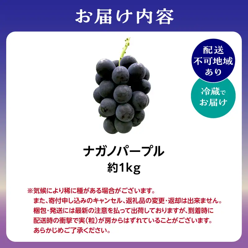 2026年 ナガノパープル 約1kg 京都木津川市産 フルーツ 106-03
