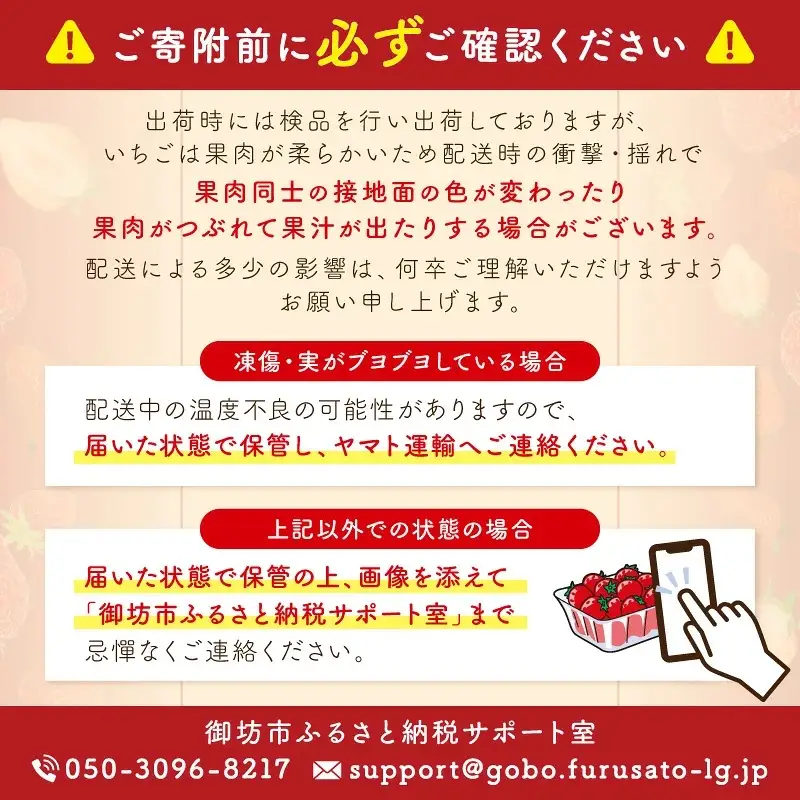 和歌山生まれのイチゴ（まりひめ）大粒3パック（1月～4月発送分）《先行予約》いちご【1266】
