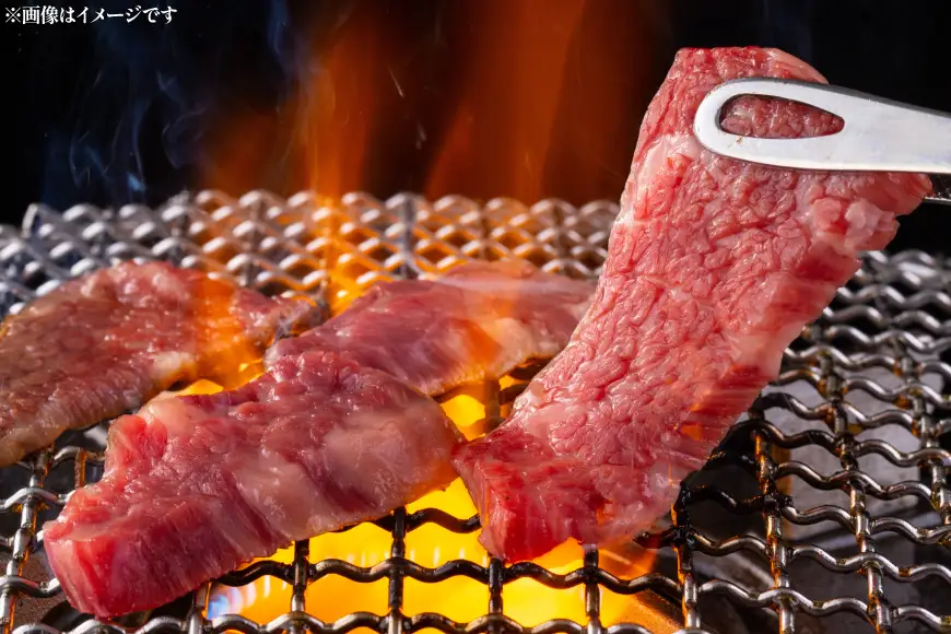 牛肉 平戸和牛 焼肉 赤身 約250g 2パック 計 約500g