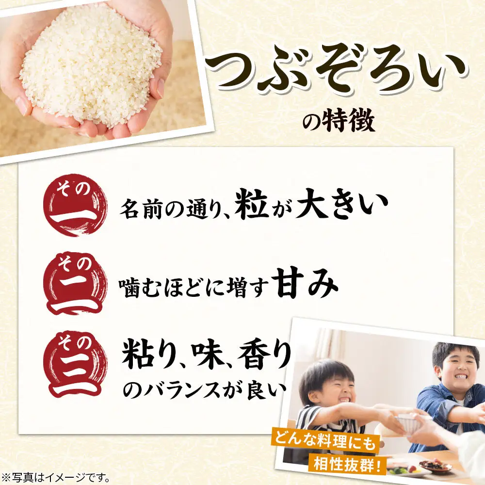 《新米受付》令和8年産【白米】つぶぞろい 5kg 秋田県由利本荘市産
