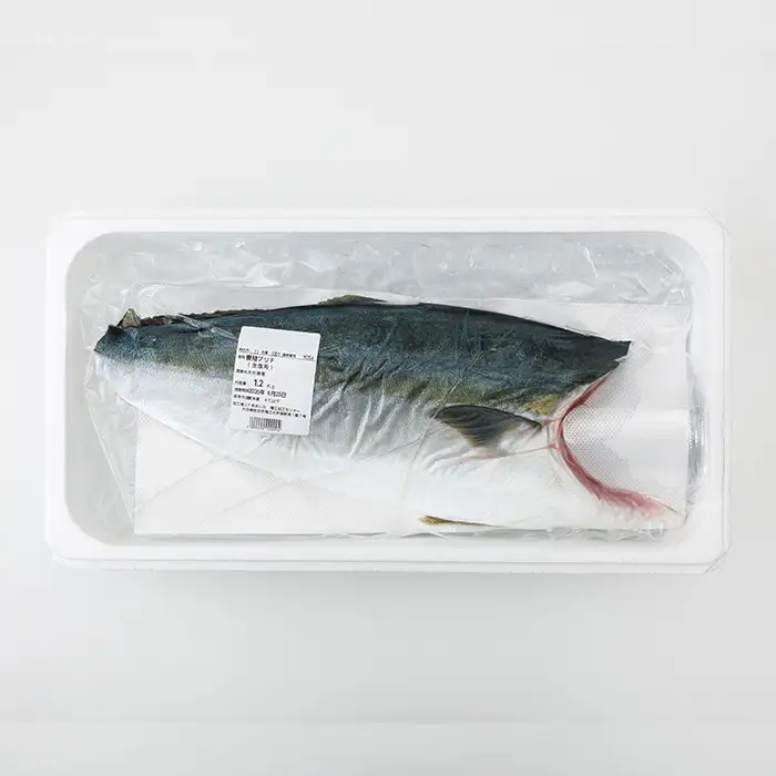 ＜先行予約受付中！2026年12月以降順次発送予定！＞海の匠 ブリ フィレ (1.2kg) ぶり 鰤 刺身 国産 魚 海産物 海鮮丼 ぶりしゃぶ 冷蔵 【JP004-12】【三共物商】