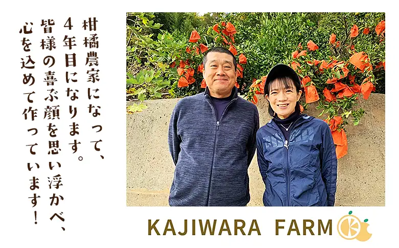 ＜柑橘100％ジュース （せとか+まどんな（愛果28号）2本）＞ ストレートジュース 果汁100％ ミカン 蜜柑 果物 柑橘 かじわらFARM 愛媛県 西予市【常温】『1か月以内に順次出荷予定』MKF0005