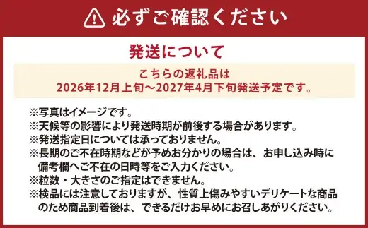 『まるでフルーツのような特選ミニトマト』 2.5kg 熊本県産 【2026年12月上旬～2027年4月下旬に順次発送】 野菜 やさい トマト とまと ミニトマト