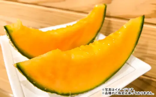 【年2回定期便】『まるで果物の王様！贅沢メロン』 2玉セット×2回 合計4玉  2色楽しめる特別な定期便 【2027年1月下旬発送開始】熊本県産 フルーツ くだもの 果物 メロン 果実 果肉 おやつ 国産
