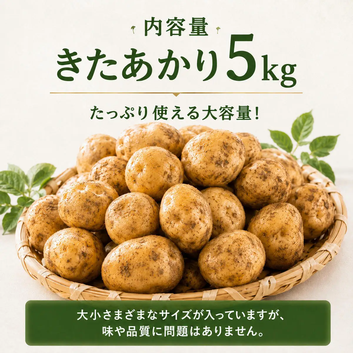 じゃがいも きたあかり 5kg 産地直送 農家直送 野菜 キタアカリ  甘い ホクホク ポテトサラダ コロッケ じゃがバター 常温 保存 備蓄 大容量 サイズ 不揃い 混合 家庭用 おうちごはん 送料無料　大河原町