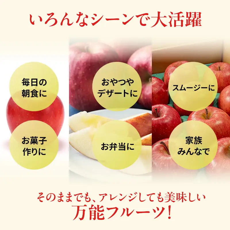 りんご 訳あり 3kg さんふじ りんご