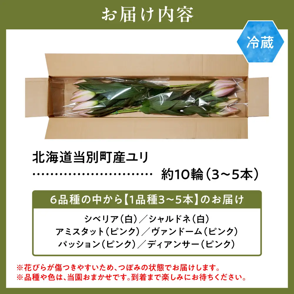 北海道当別町産ユリ | 花 ゆり 切花 農家直送 高品質 期間限定 北海道 当別町