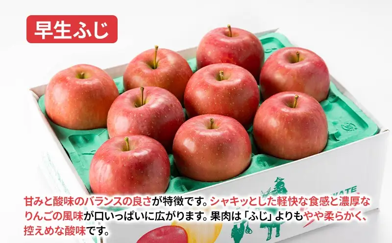 【先行予約】 9月中旬発送開始 りんご 詰め合わせ 2種以上 5kg 藤与果樹園 fujiyo011