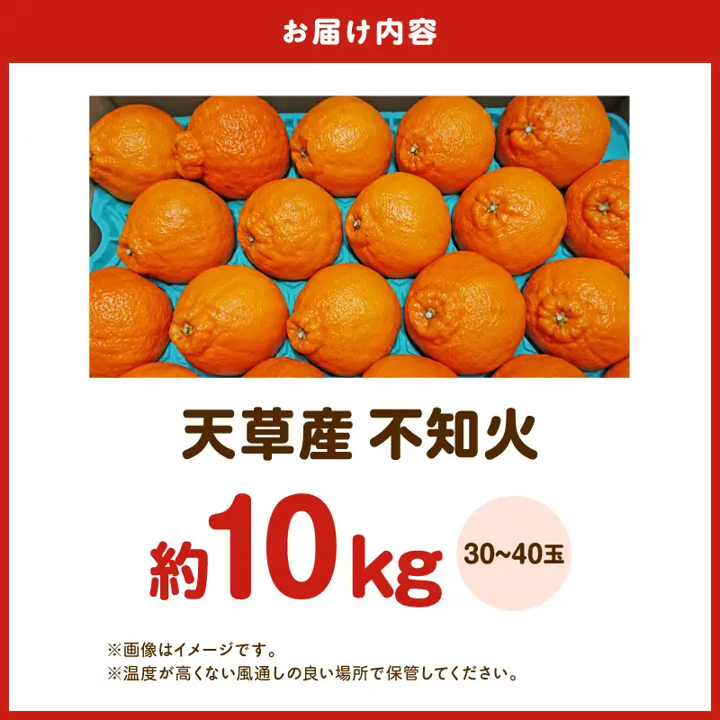 S153-006_天草産 不知火 約5kg 2箱