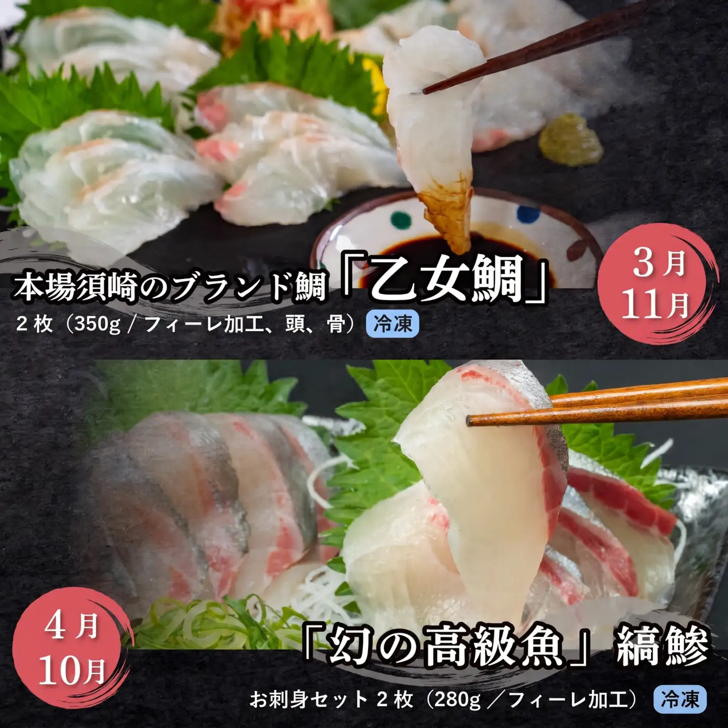 【冷凍便】 厳選! 12カ月 お楽しみ 定期便 刺身 定期便 小島水産 がお届けする! 美味しい お刺身 