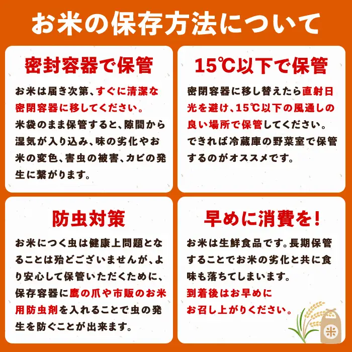 令和8年産 新米 鹿児島県産 コシヒカリ 5kg 国産 精米 白米 ごはん【山下商店】A95002