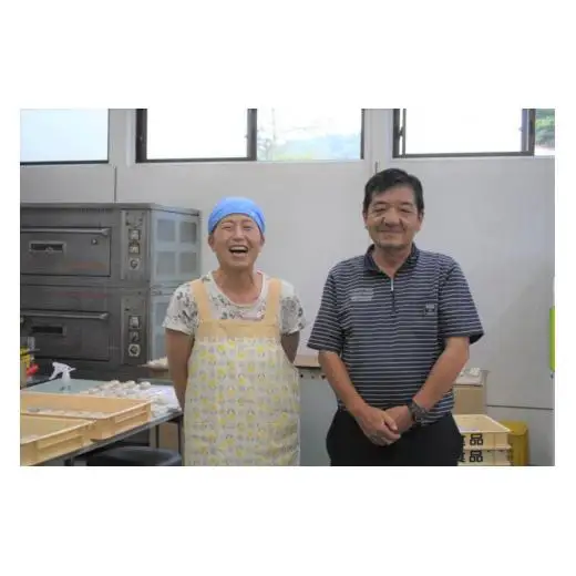 備中のこもち 20個(10個入×2パック) 新見産ヒメノモチ使用