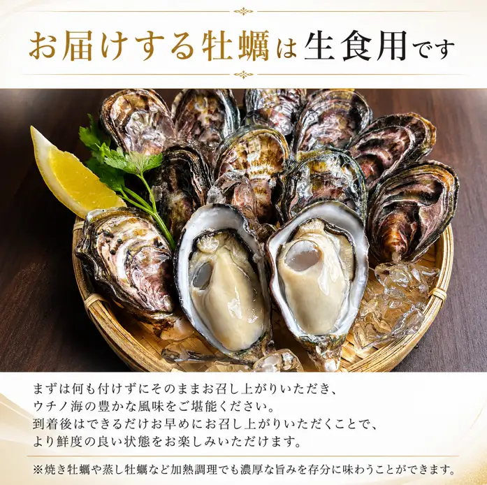 牡蠣 生食用 《全国牡蠣-1グランプリ 準グランプリ受賞！》 12個
