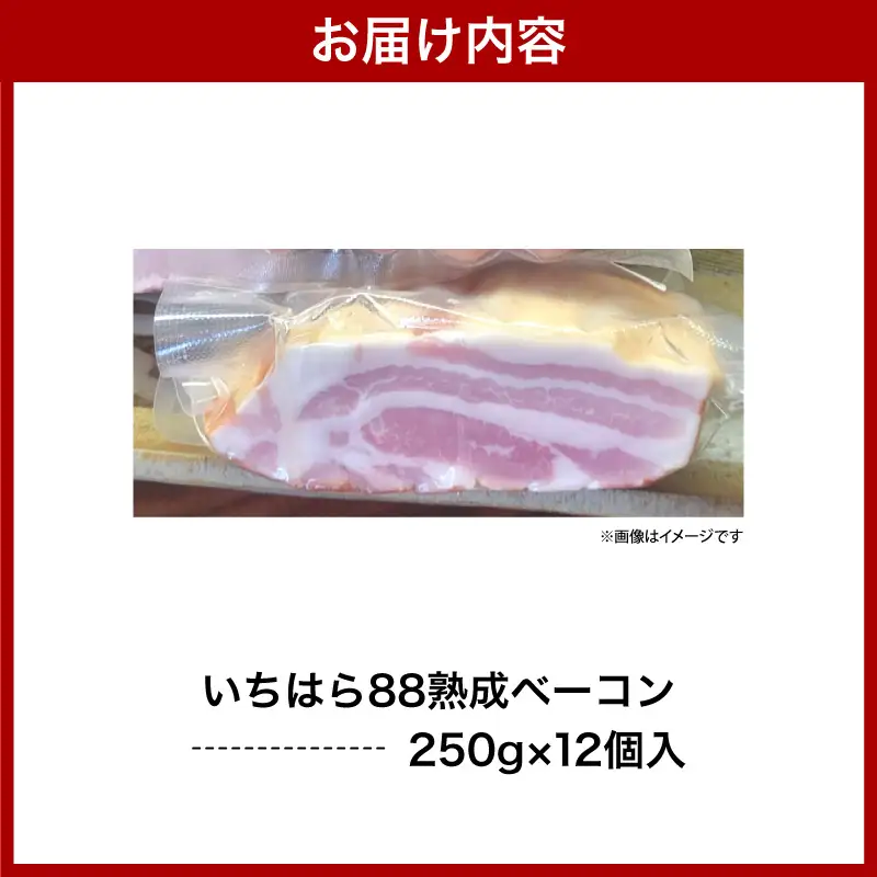 いちはら88熟成ベーコン 【約250g×12個入】