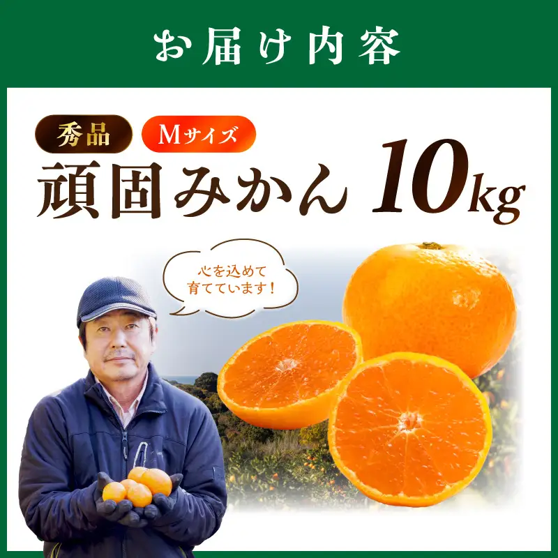 和歌山県天田のこだわり頑固みかん【秀品】10kg　サイズ指定可能（S・M・L）Mサイズ【1206-1_M】