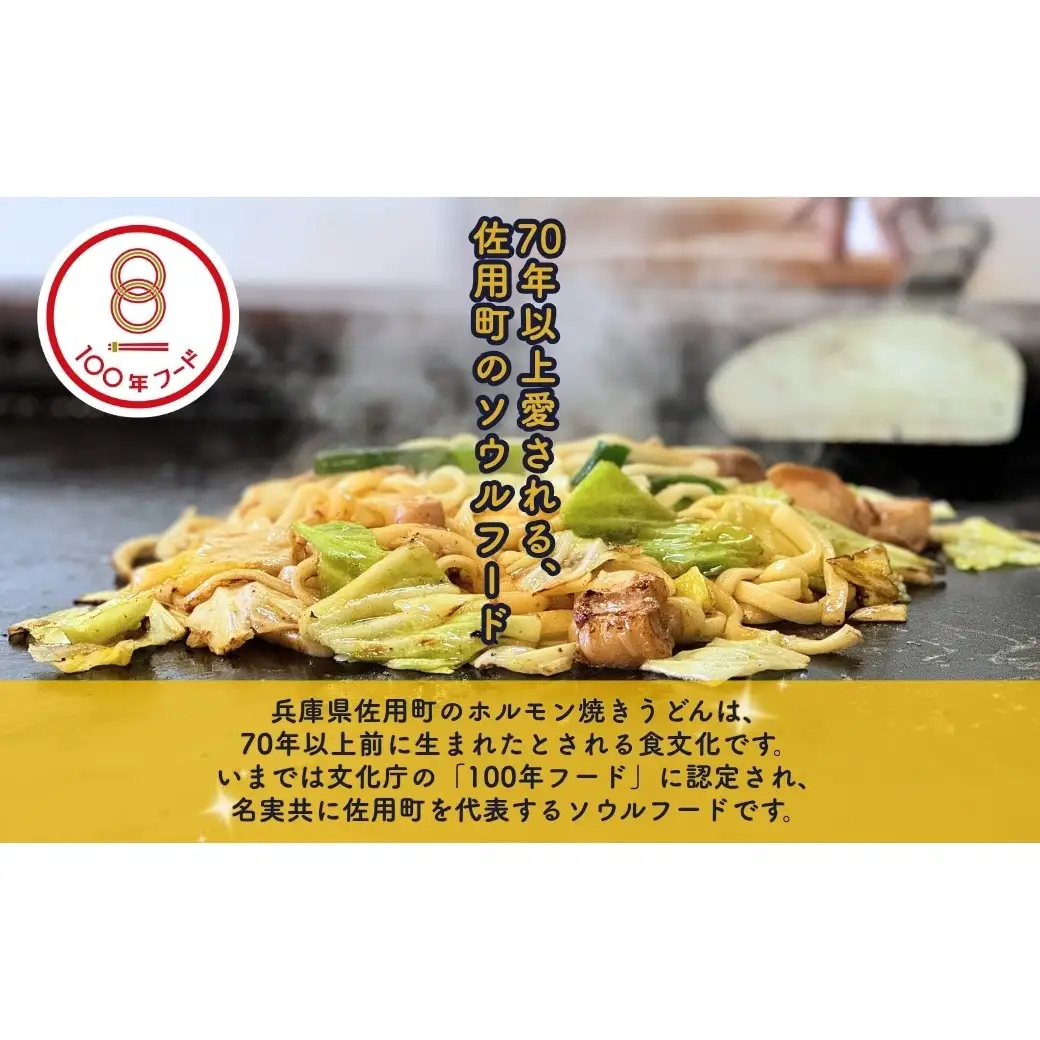 佐用ホルモンうどん専用 つけだれ ふじのたれ 300ml×2本セット にんにく 醤油 味噌 万能だれ 100年フード ご当地グルメ 兵庫県 佐用町