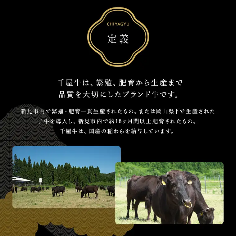 千屋牛 切り落とし 1kg（500g×2） 家庭用 岡山県新見市