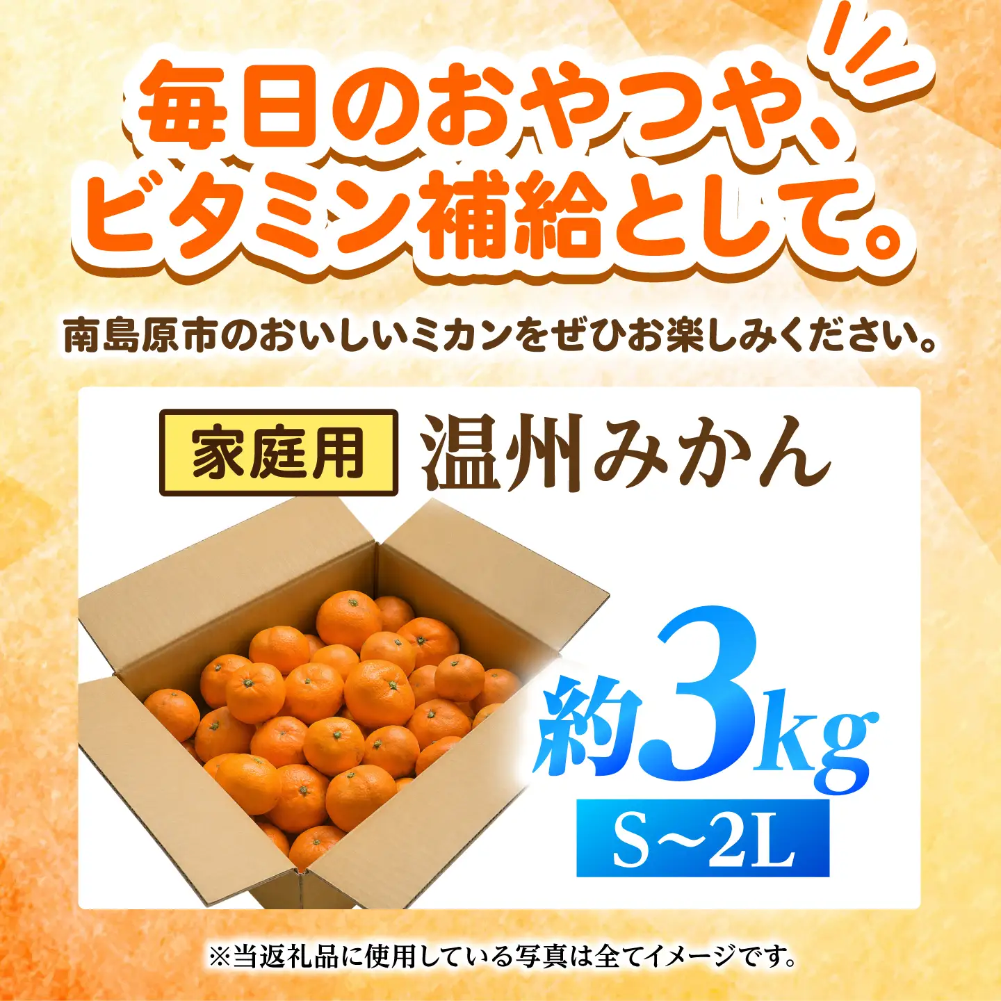 【2026年12月下旬-発送】温州みかん 3kg [SFG003] みかん