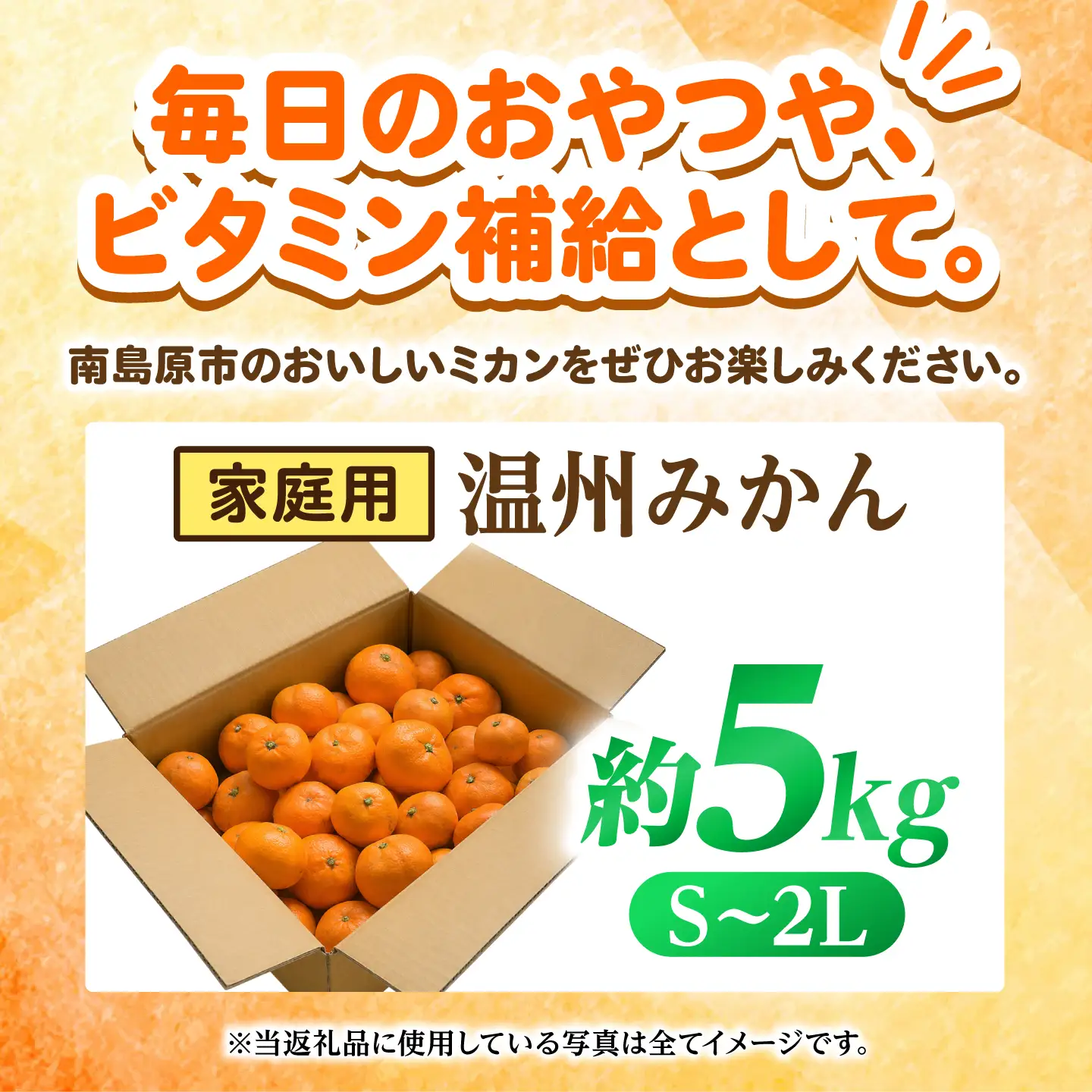 【2026年12月下旬-発送】温州みかん 5kg [SFG004] みかん