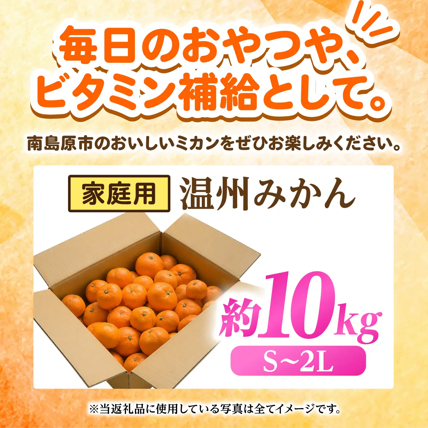 【2026年12月下旬-発送】温州みかん 10kg [SFG005] みかん