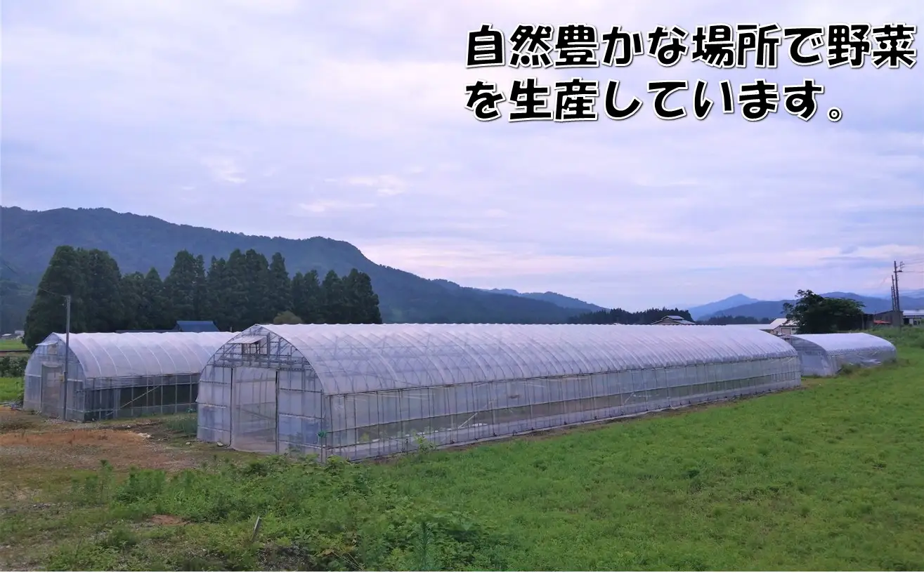 【数量限定】小国の旬の新鮮野菜セット　5品以上　