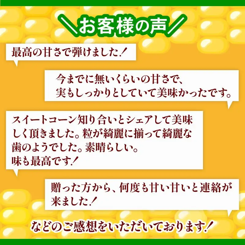 【先行予約】【セット】完熟生ブルーベリー（サザンハイブッシュ系・ラビットアイ系）300g スイートコーン 3本