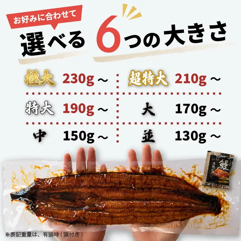 限定 国産 鰻 土佐はちきん うなぎ 特大 蒲焼き 190g以上 × 1尾 | 特上 極上 めす 贈答 南国市