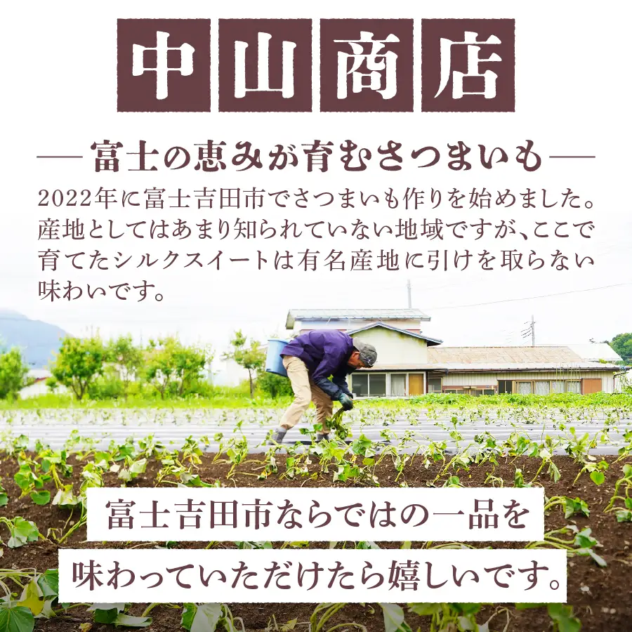 野菜 サツマイモ（シルクスイート）2kg さつまいも