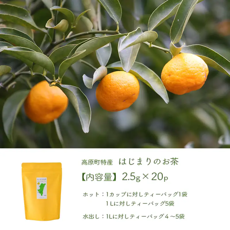 《自然の恵み・農薬不使用》 橘の爽やかな香り「はじまりのお茶」 ティーパックタイプ(2.5g×20包)  [健康茶 薬草茶 日本産 お茶 ノンカフェイン ワンストップオンライン 10000円以下] TF0918-P00027