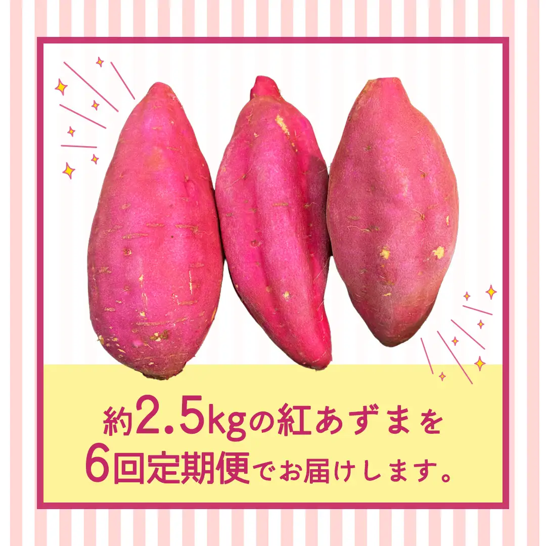 紅あずま 約2.5kg （6回 定期便 ）（茨城県共通返礼品 [さつまいも]：行方市産）