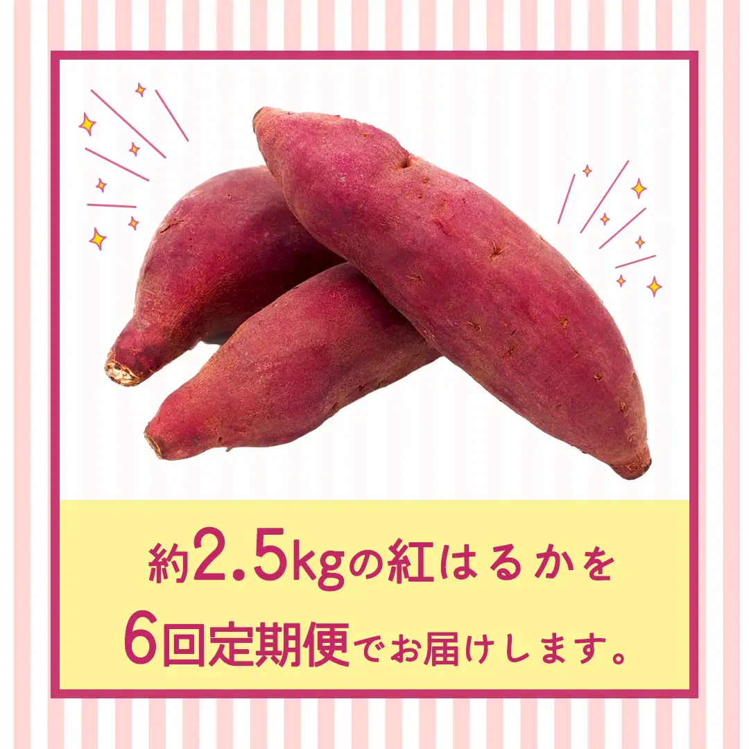 紅はるか 約 2.5kg （6回 定期便 ）（茨城県共通返礼品 [さつまいも]：行方市産）