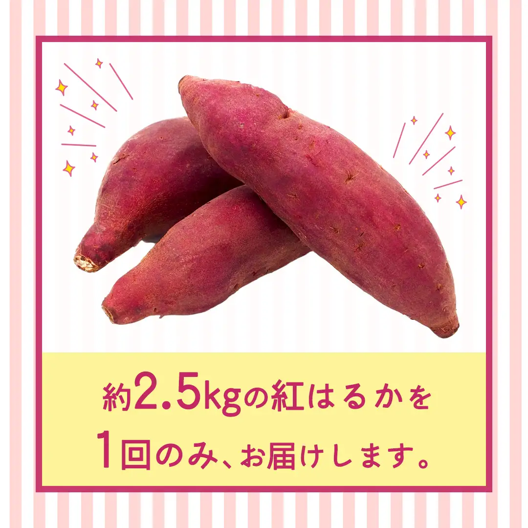 紅はるか 約 2.5kg （茨城県共通返礼品 [さつまいも]：行方市産）