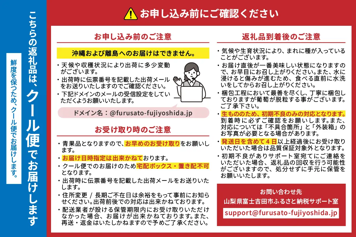 フルーツ 【2027年発送 先行予約】【ミニマム 3回定期便】厳選 旬のフルーツ定期便（桃3玉・シャインマスカット1房×2回配送） もも シャインマスカット