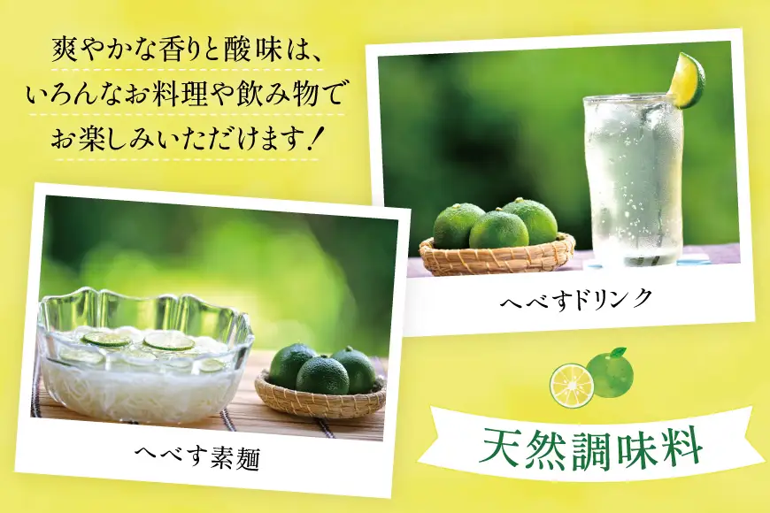 【期間限定発送】 黒木へべすファーム自慢の《露地》 へべす 2kg
