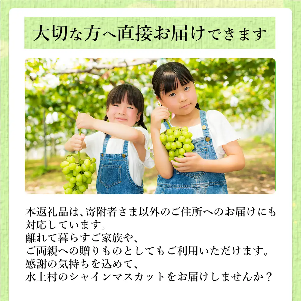 【ふるさと納税】 ＼2026年8月下旬発送開始／ シャインマスカット 1kg 2～3房 種なし フルーツ 大粒 皮ごと食べられる エメラルドグリーン 訳あり ご褒美 贈り物 ギフト 贈答用 プレゼント 熊本県 水上村