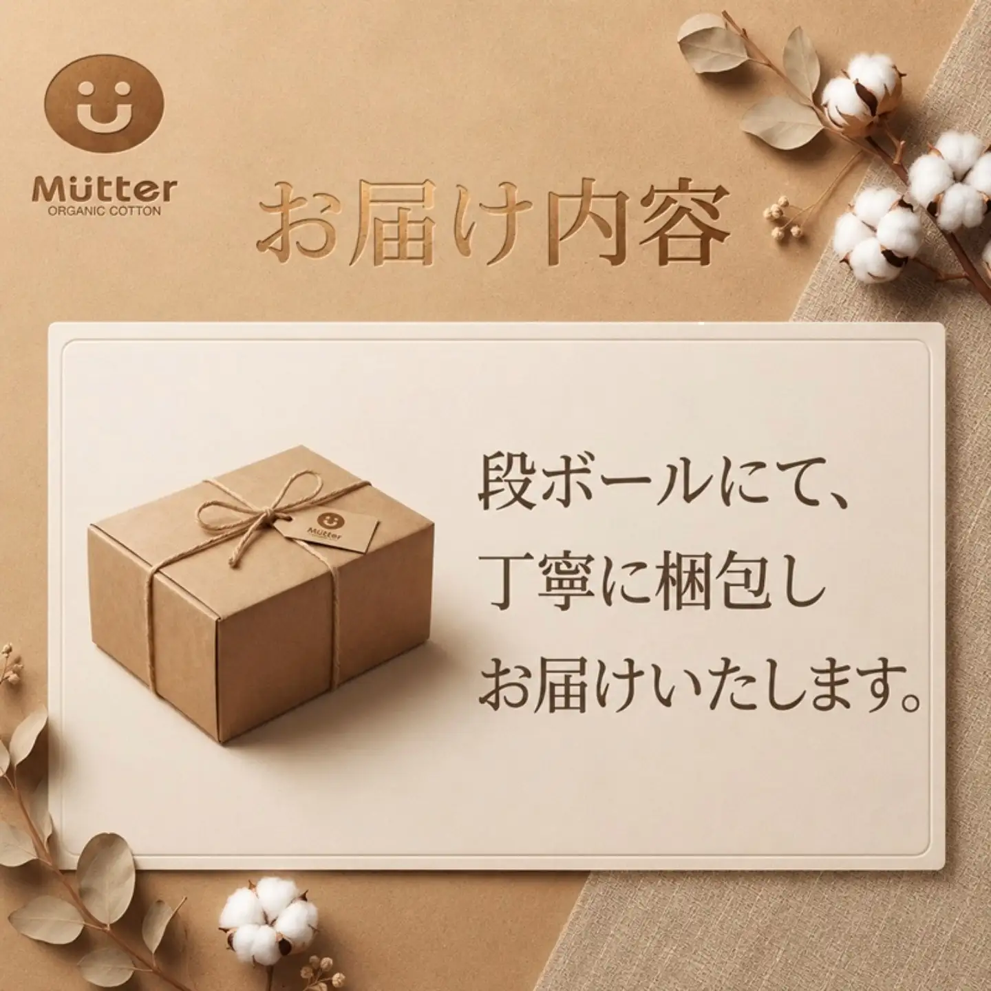 ペット スタイ Mサイズ 3枚セット