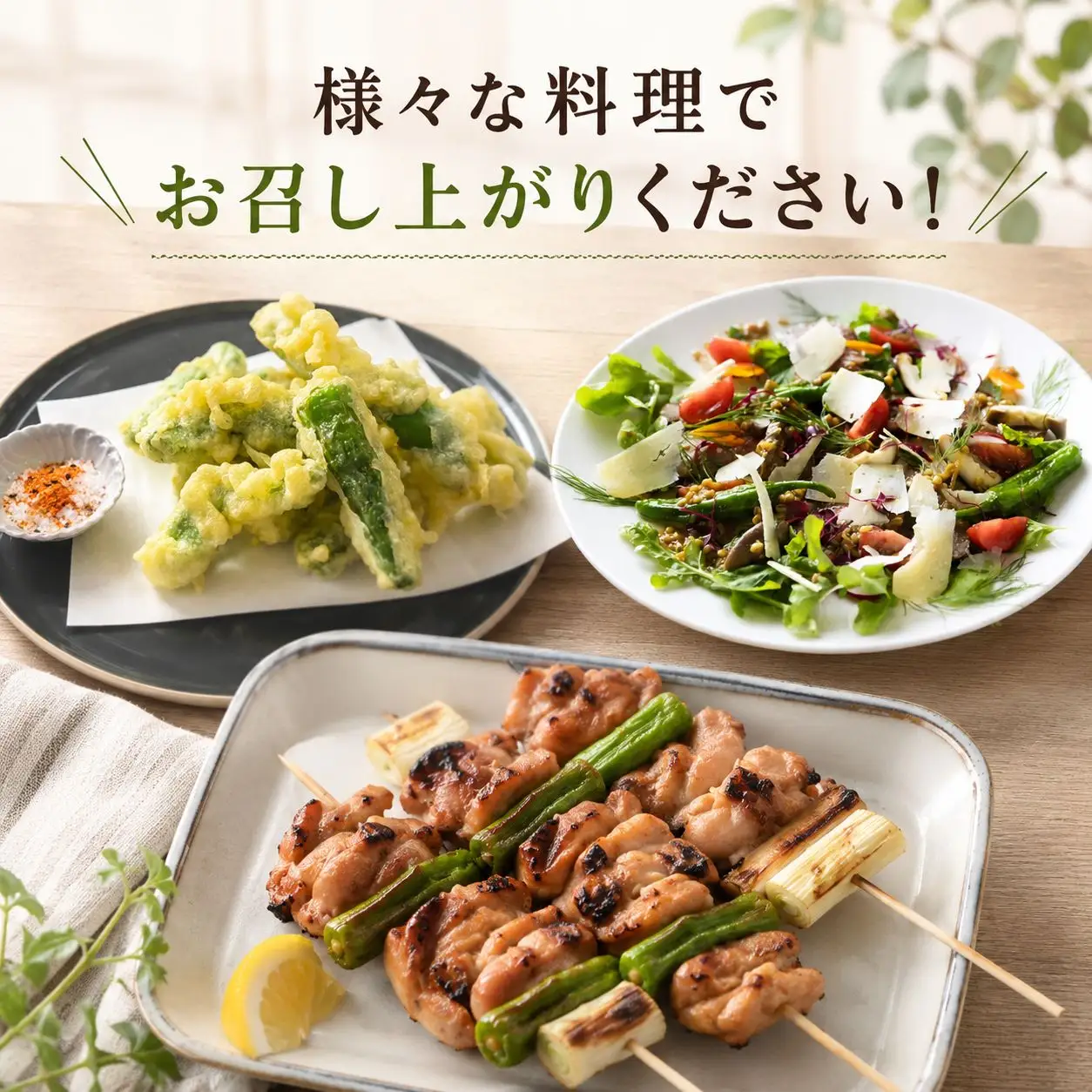 ししとう 500g 野菜 獅子唐 ししまろ