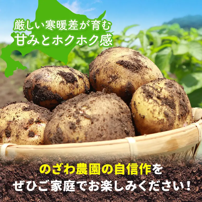 じゃがいも詰め合わせセット 3kg 10種のうち3種をお届け《9月上旬-12月末頃出荷予定》
