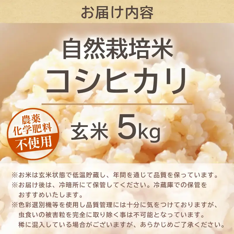 【先行予約】【令和8年産】コシヒカリ 玄米 5kg 化学肥料 農薬不使用 自然栽培米 / 北陸 福井県産 あわら市 ブランド米 玄米 お米 コメ ※2026年10月上旬以降順次発送予定 [aw138-b001]