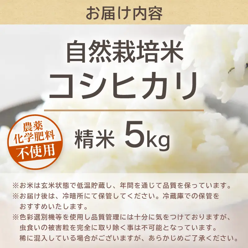 【先行予約】【令和8年産】コシヒカリ 精米 5kg 化学肥料 農薬不使用 自然栽培米 / 北陸 福井県産 あわら市 ブランド米 白米 お米 コメ ※2026年10月上旬以降順次発送予定 [aw138-b002]